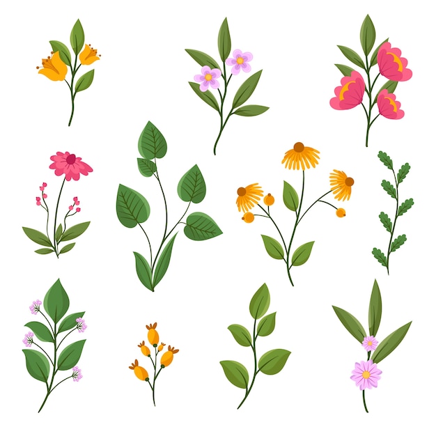 Free vector botanical garden element collection