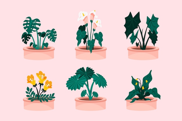 Free vector botanical garden illustration set