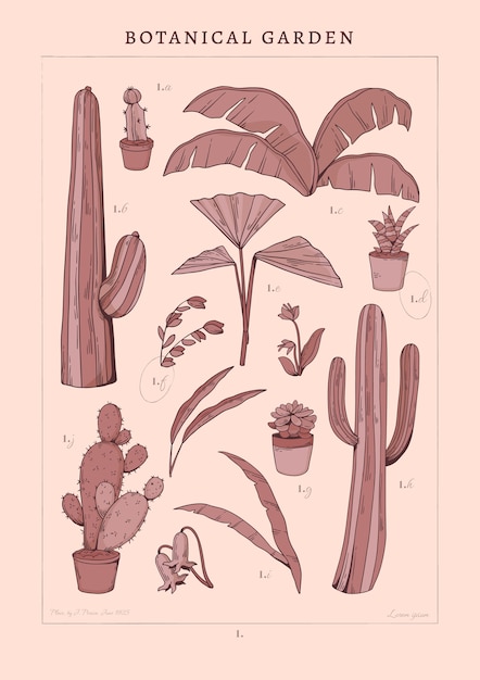 Free vector botanical garden poster design