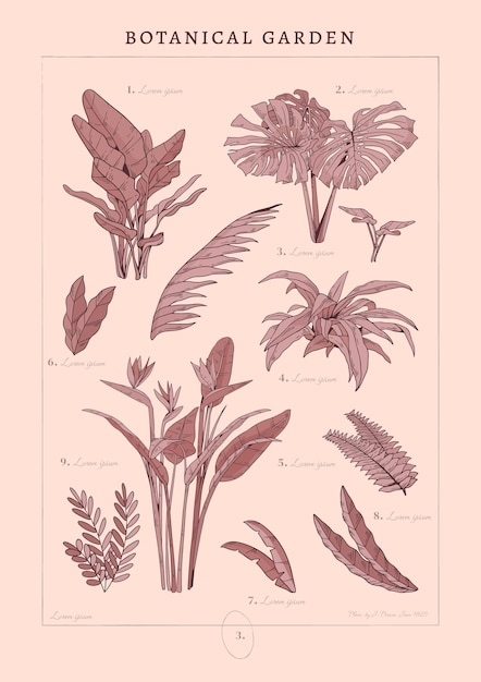 Free vector botanical garden poster design