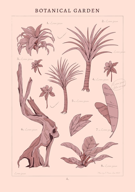 Botanical garden poster design