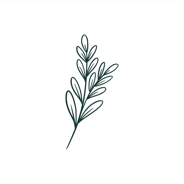 Free vector botanical leaf doodle wildflower line art