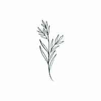 Free vector botanical leaf doodle wildflower line art