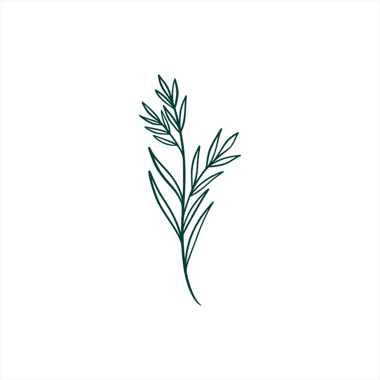 Free Vector botanical leaf doodle wildflower line art