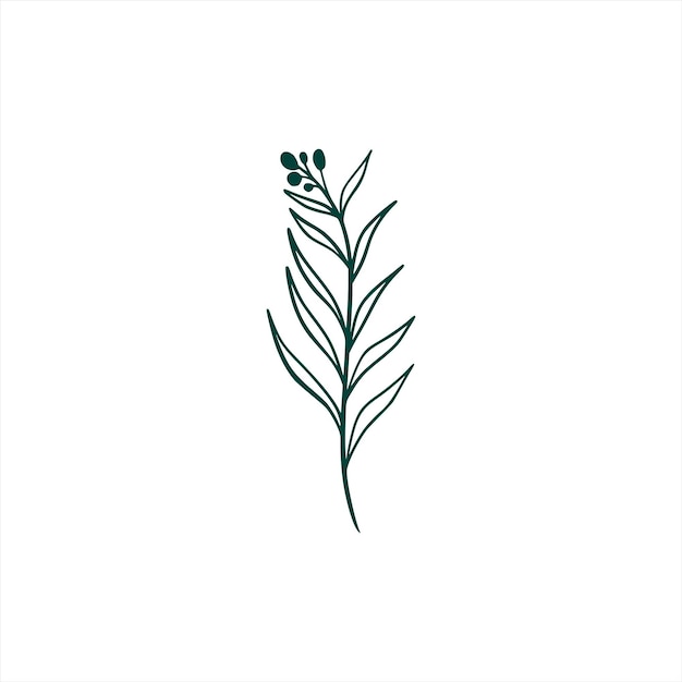 Free vector botanical leaf doodle wildflower line art