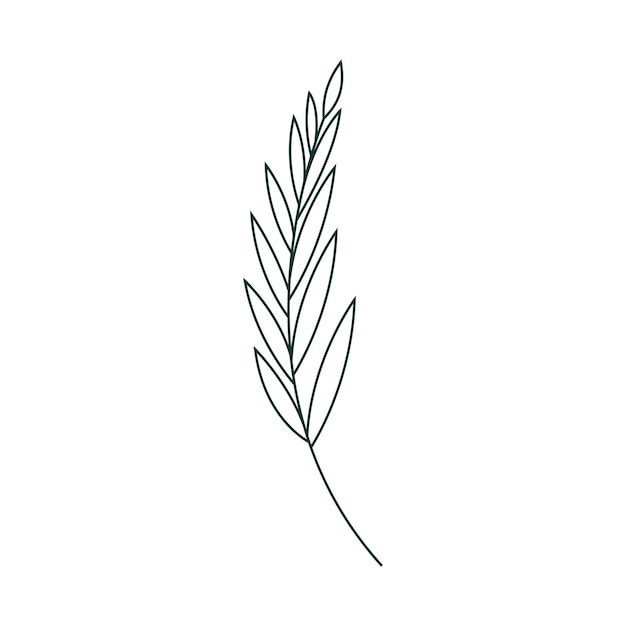 Botanical leaf doodle wildflower line art