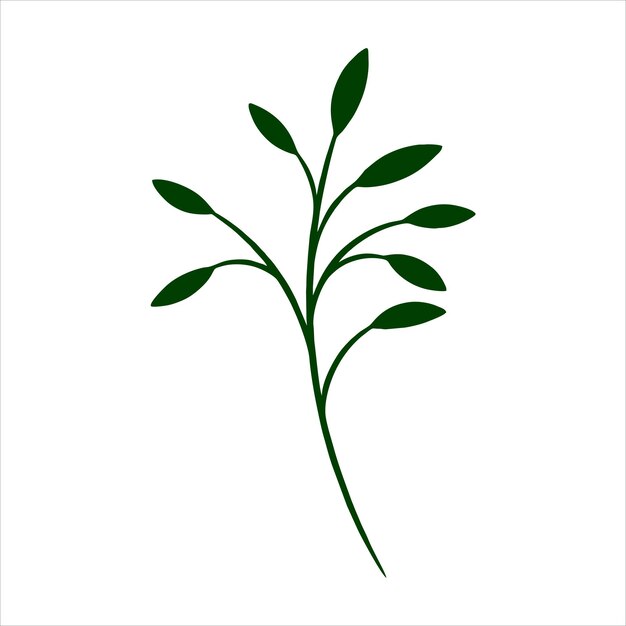 식물 잎 낙서 야생화 라인 아트