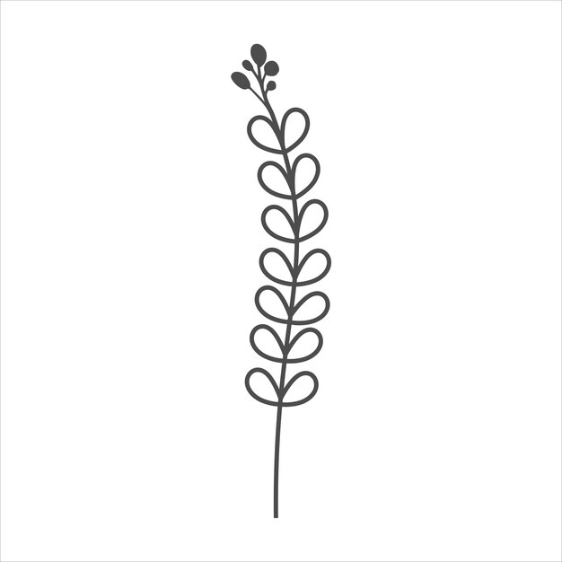 Botanical leaf doodle wildflower line art