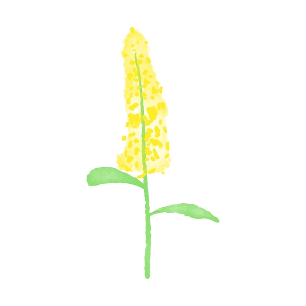 Free vector botanical leaf doodle wildflower line art