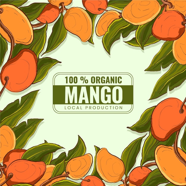 Vettore gratuito illustrazione botanica dell'albero di mango