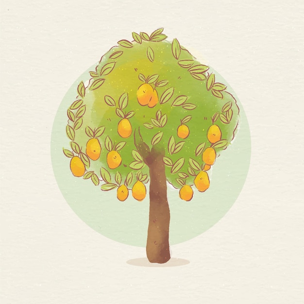 Бесплатное векторное изображение Ботаническое дерево манго с фруктами