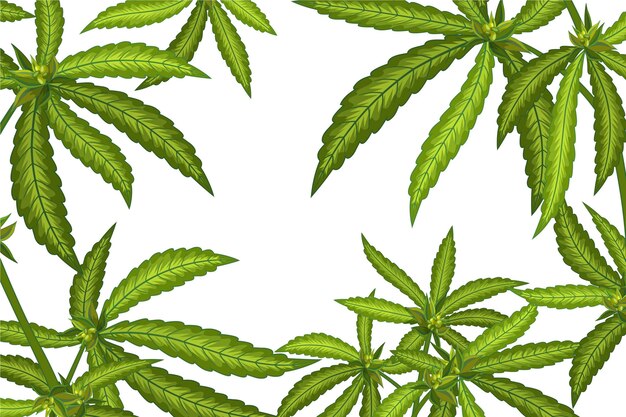 Botanical marijuana leaf background