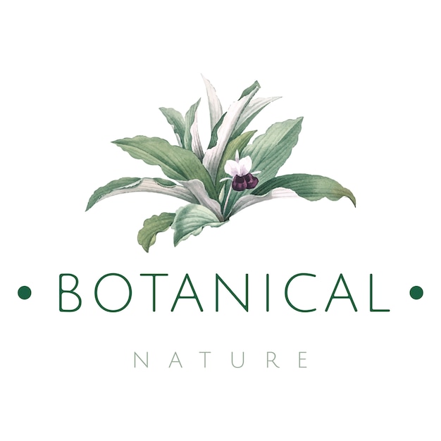 Free vector botanical nature logo design vector