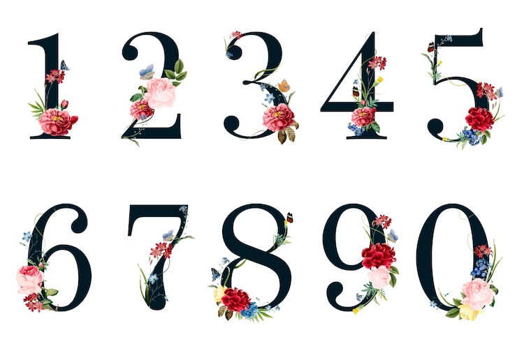 Free Vector botanical numbers with tropical flowers illustration