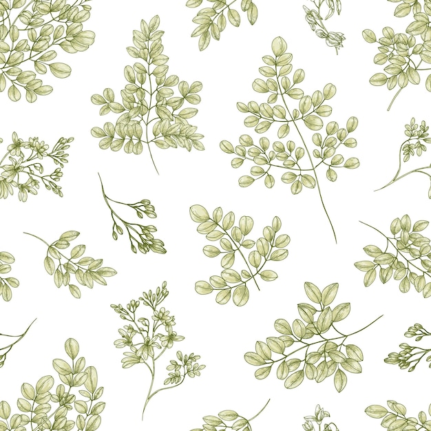 ミラクルツリーまたはmoringaoleiferaの葉と白い表面の花と植物のシームレスなパターン プレミアムベクター ミラクルツリーまたはmoringaoleiferaの葉と白い表面の花と植物のシームレスなパターン プレミアムベクター