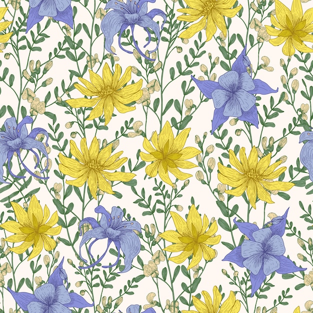 Botanical seamless pattern with wild blooming flowers and meadow flowering herbs on white background.