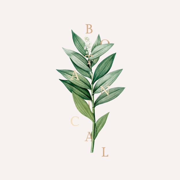 Botanical wallpaper