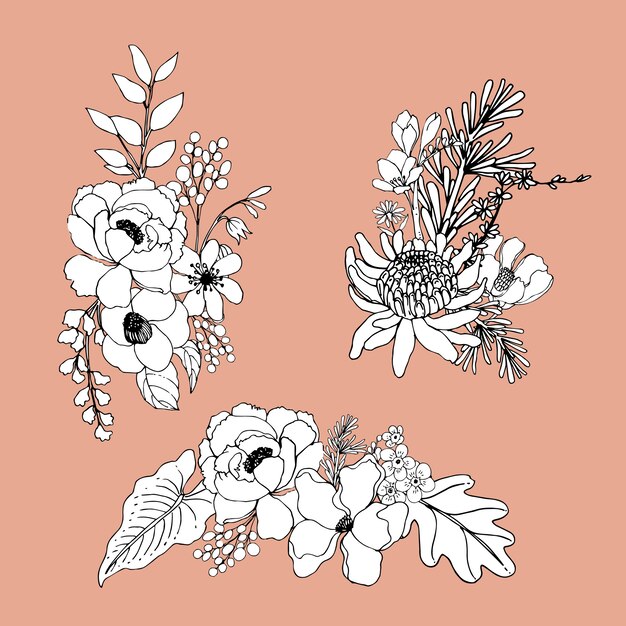 Bouquet flowers line art tropial.Decorative flowering plants.