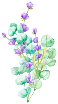 A bouquet of green eucalyptus leaves and lilac lavender