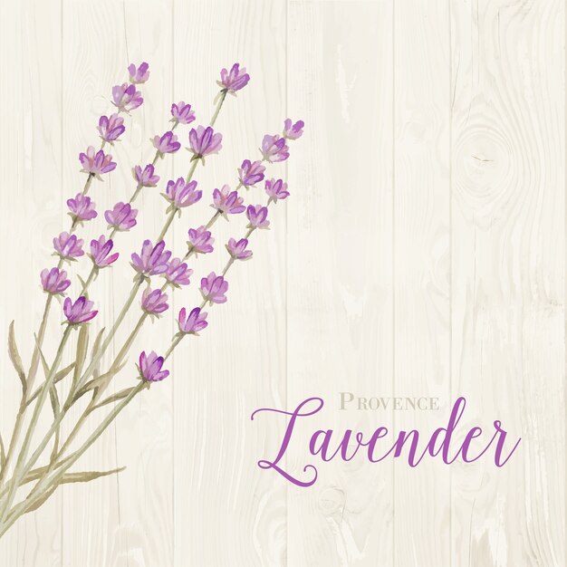 회색 나무 보드에 꽃다발 laveder입니다.