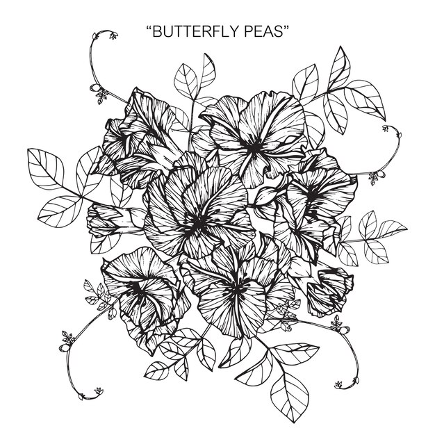 プレミアムベクター 蝶ピーマンの花を描くイラストの花束