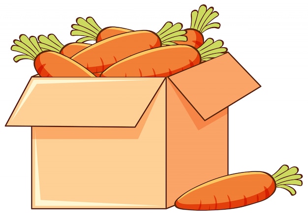 Box of carrots on white background