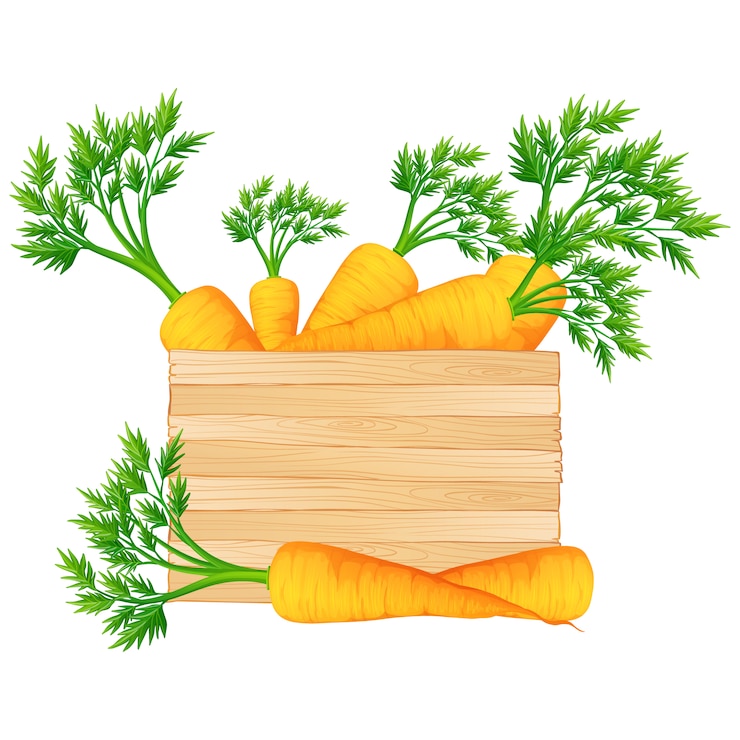 Free Vector box full of carrots design