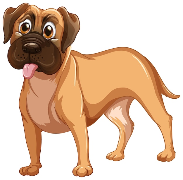 Boxer dog cartoon on white background