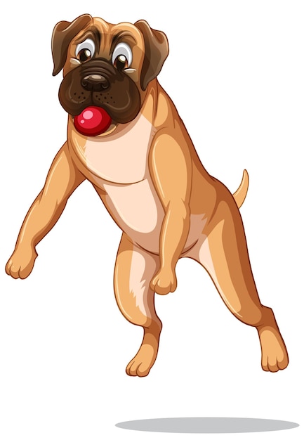 Boxer dog cartoon on white background