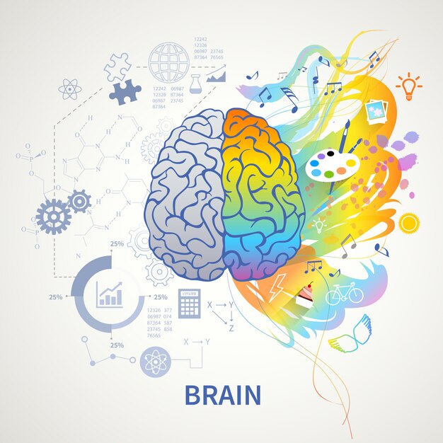 Brain functions concept infographic symbolic depiction with left side logic science mathematics right arts creativity
