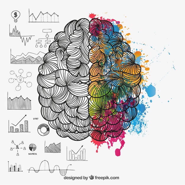 Brain hemispheres in doodle style