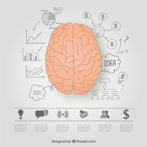 Brain hemispheres graphic