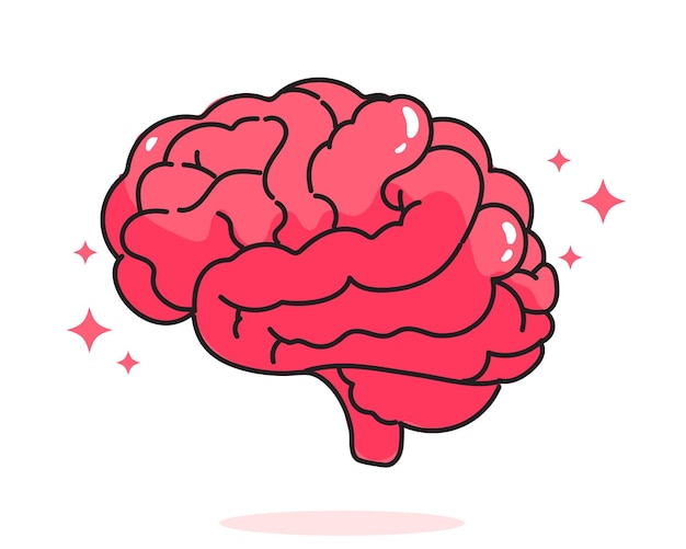 Мозг анатомия человека биология орган система тела здравоохранение и медицина рисованной иллюстрации шаржа