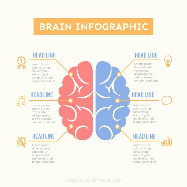 Brain infographic template in pastel colors