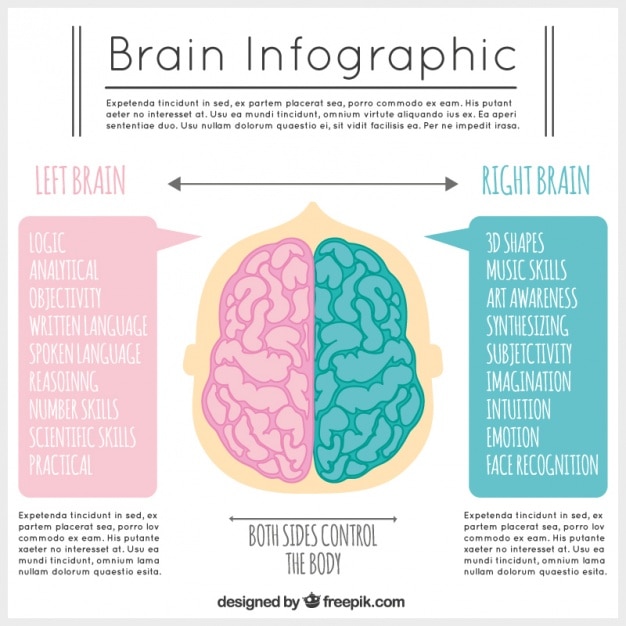 Cervello modello infografica in toni rosa e blu