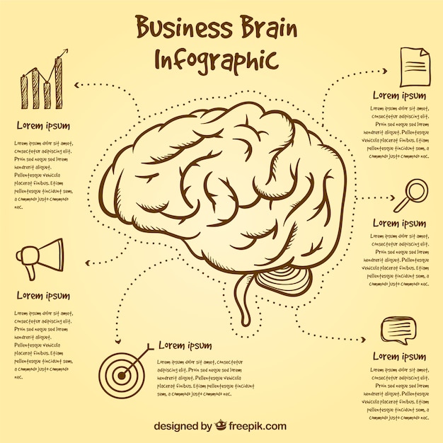 Brain infographic template with hand-drawn items