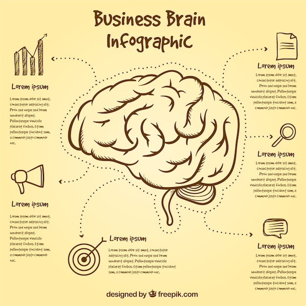 Free Vector brain infographic template with hand-drawn items