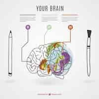 Free vector brain infographic with a pencil and a pen