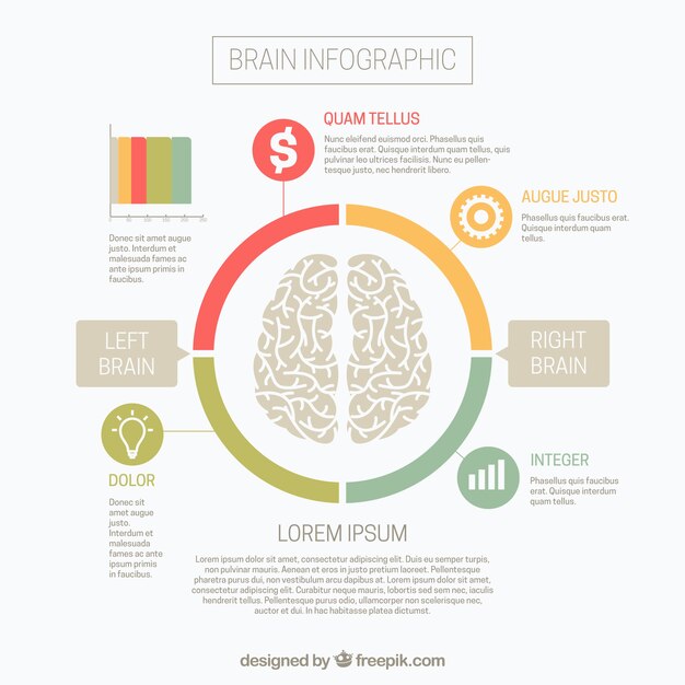 Brain infographic with right and left hemispheres