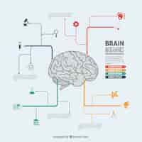 Free vector brain infographic