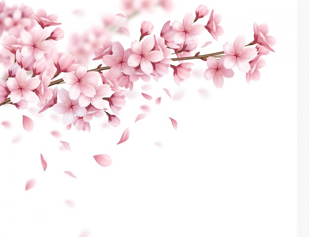 Branch with beautiful sakura flowers and falling petals realistic composition illustration