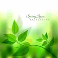 Free vector branch with green leaves background