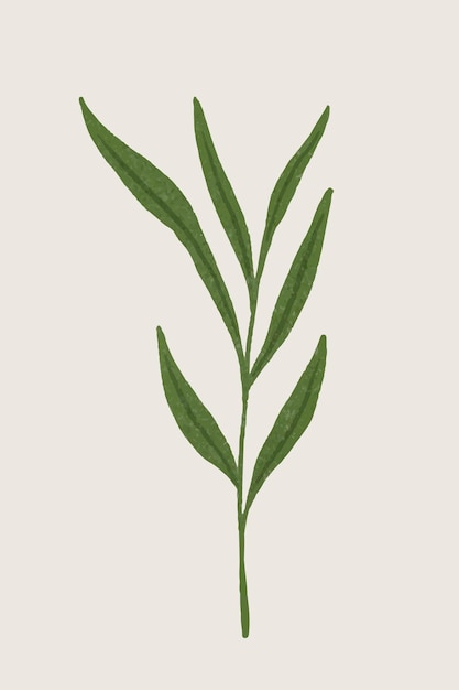 Branch with green leaves design element