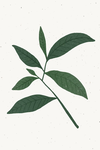 녹색 잎 디자인 요소와 지점