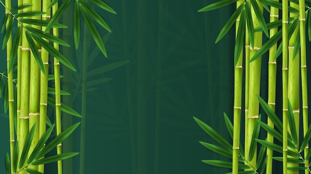 Free vector branches tropical jungle bamboo composition with darkened rainforest background surrounded by images of exotic plants leaves vector illustration