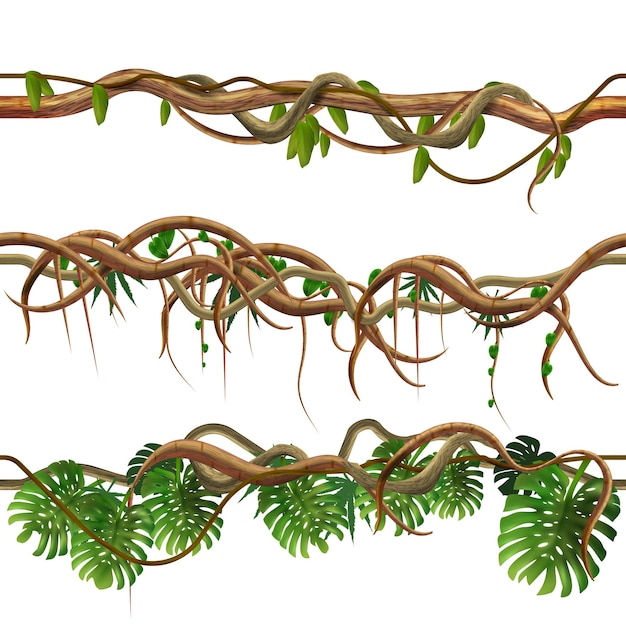 Rami giungla tropicale bordo senza giunture impostato con viste orizzontali isolate di tronchi d'albero di viti e foglie illustrazione vettoriale