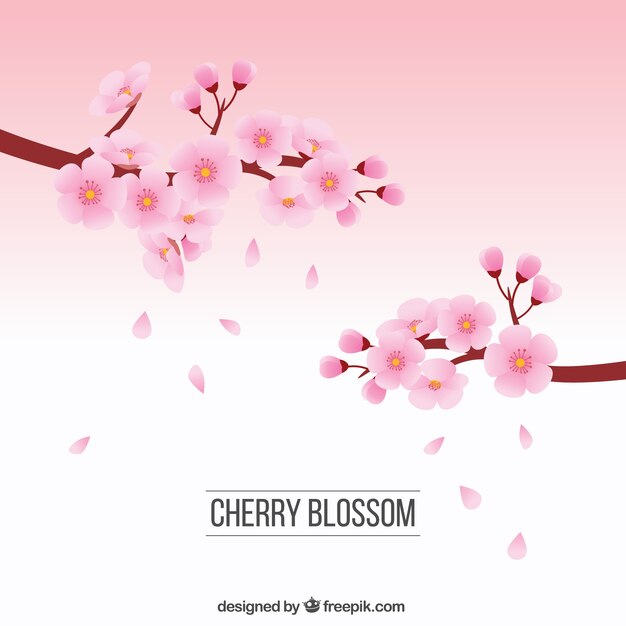 Branches with cherry blossoms background 