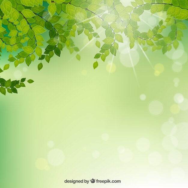 Branches with green leaves background