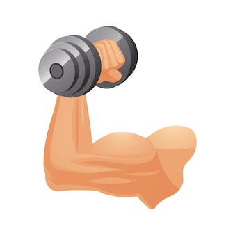 Exercise Cartoon, PNG, 580x480px, Muscle, Arm, Ball, Biceps, Body