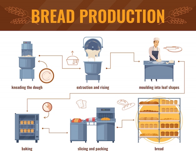 무료 벡터 빵 생산 인포 그래픽